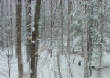 2007-04-13/323F.jpg