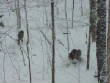 2007-04-13/332F.jpg