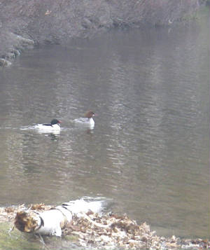 OurBlog/IMGP0091cl03.jpg