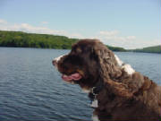 Pets/SarahFishing.JPG